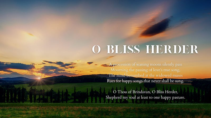 O Bliss Herder