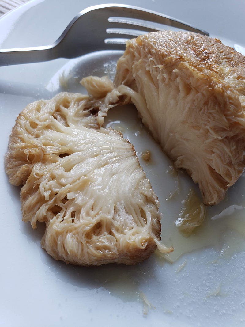 Lion’s Mane (노루궁뎅이버섯)
