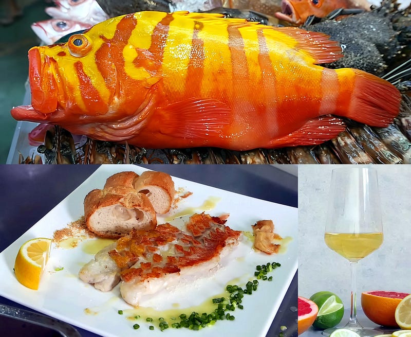 The Garish Hind: A Jewel of the Coral Seas and the Culinary World