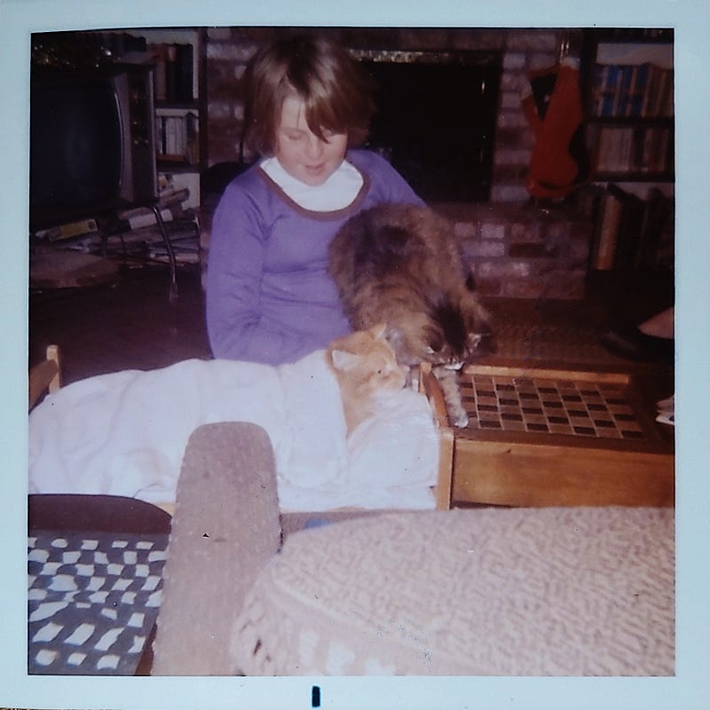 Old color photo of a young girl holding a gray tiger cat kneeling over a doll bunk bed with a long-haired orage cat tucked in