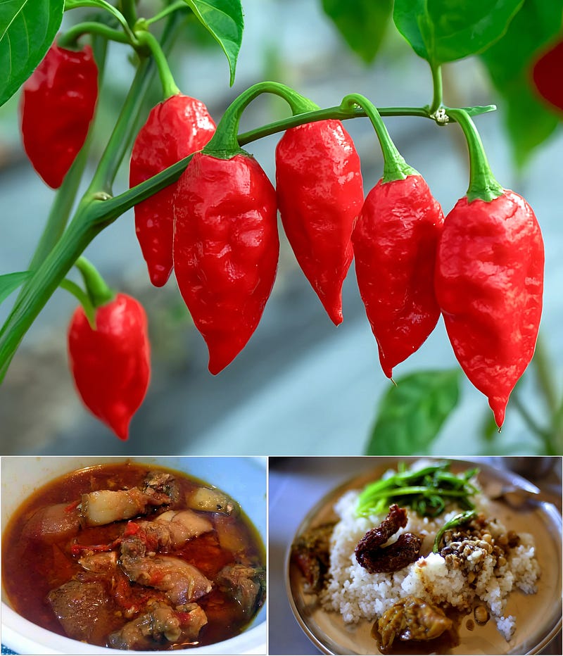 Fire in the Flesh: The Story of the Ghost Pepper