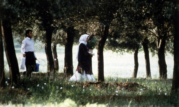 Through-the-Olive-Trees2