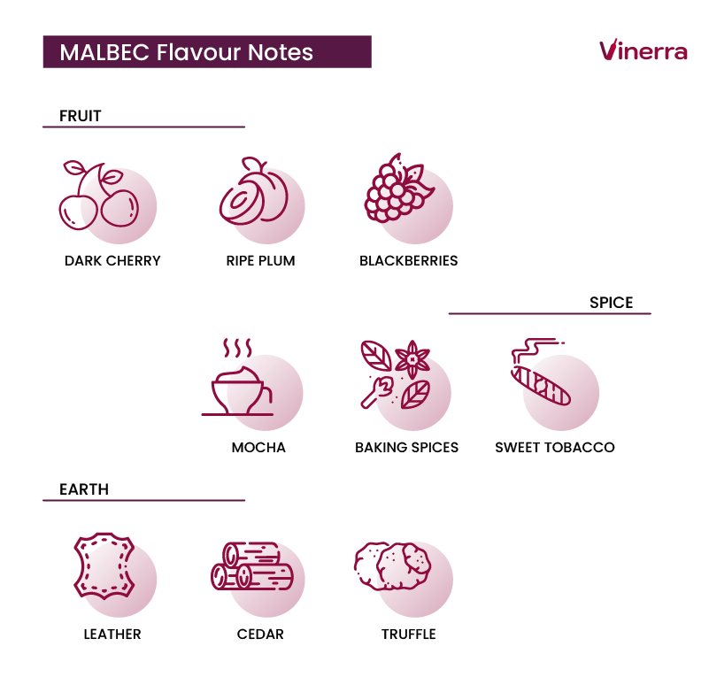 Malbec flavour notes