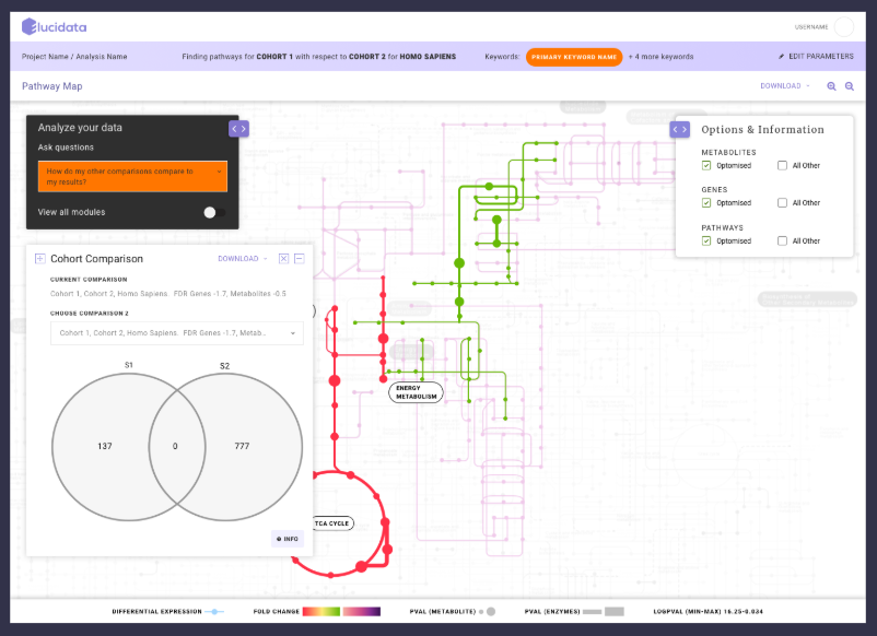 Reproducible processing protocols in minutes rather than days