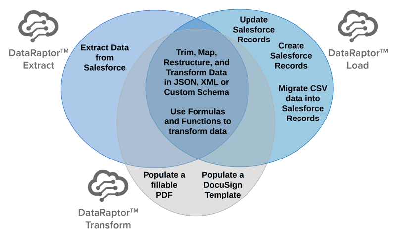 OmniStudio DataRaptor capabilities