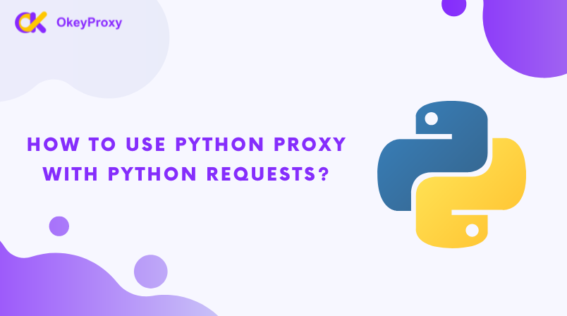 Установите Python Proxy с Python Requests 2024 — okey proxy