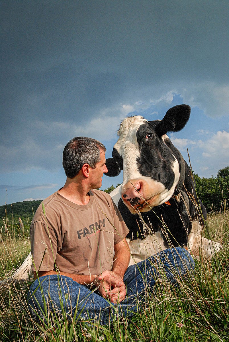 Gene Baur and Opie at Farm Sanctuary. Gene rescued Opie from a pile of dead animals when he was a calf. USA, 2007. Jo-Anne McArthur / We Animals Media