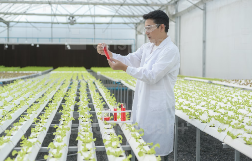 Photo of a man in a large factory testing plants for food safety