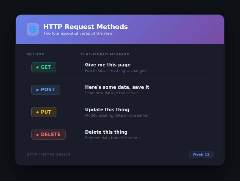 Week 12: HTTP & HTTPS — The Secret Language of the Internet