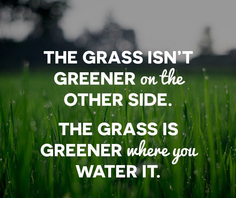 Image of grass with the words, “The grass isn’t greener on the other side. The grass is greener where you water it”.