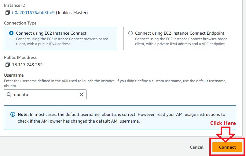 Connect Jenkins-Master Instance