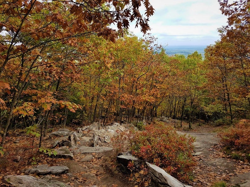 Mount Wachusett and lots of autumn trees