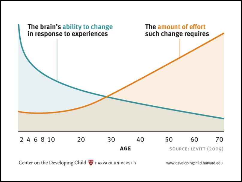 Graph from the Center on the Developing Child, Havard University, showing a decreasing trend in the bain’s ability to change in reponse to experience versus an increasing trend in the amount of effort such change requires.