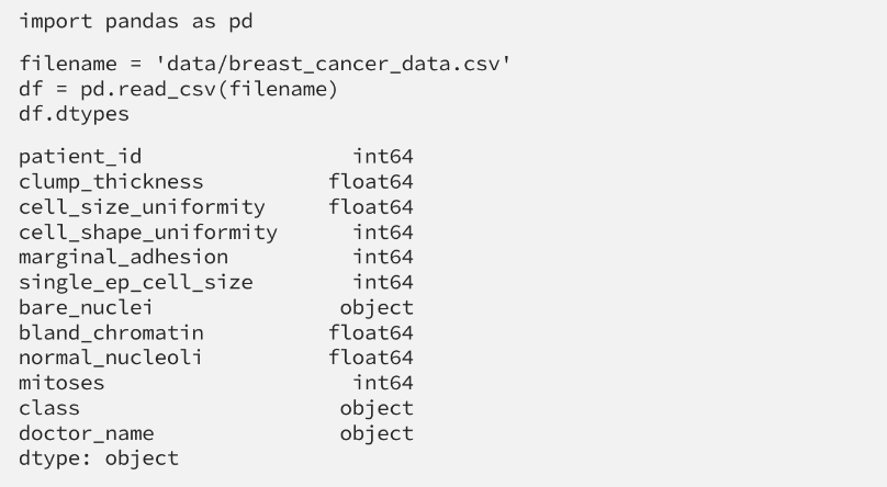The possible data types you can use for Series in Pandas