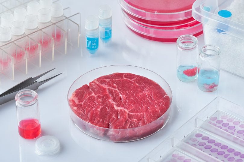 Test tubes and a petri dish with steak inside