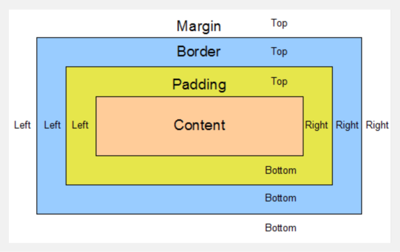 Margin & Padding in CSS