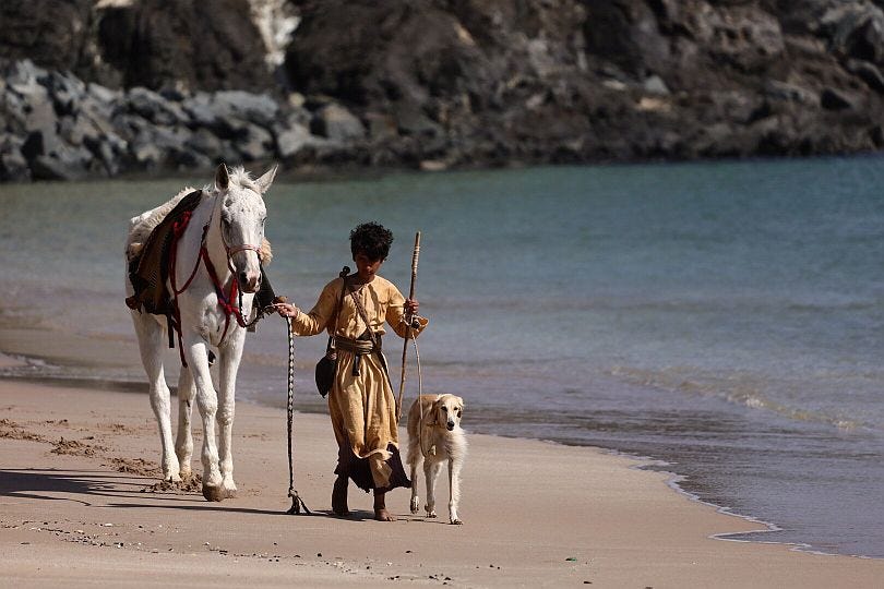 Mountain boy film — Suhail and his friends