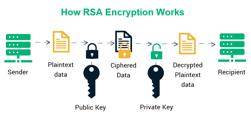 Implementing RSA Encryption in a Node.js Application