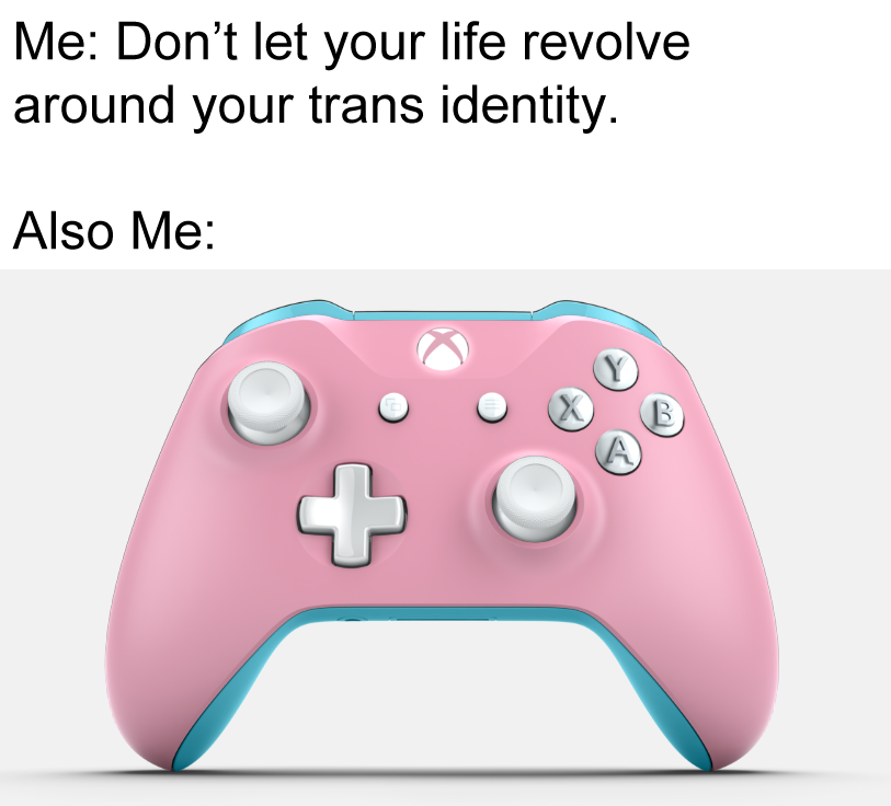A meme with an image of a trans flag-colored xbox one controller that reads: Me: Don’t let your life revolve around your trans identity. Also Me: <image mentioned before>