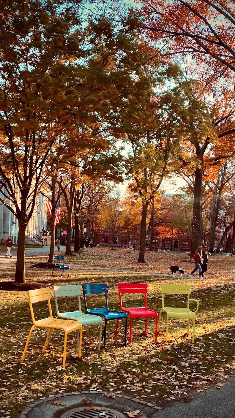 Colored chairs in Harvard Yard