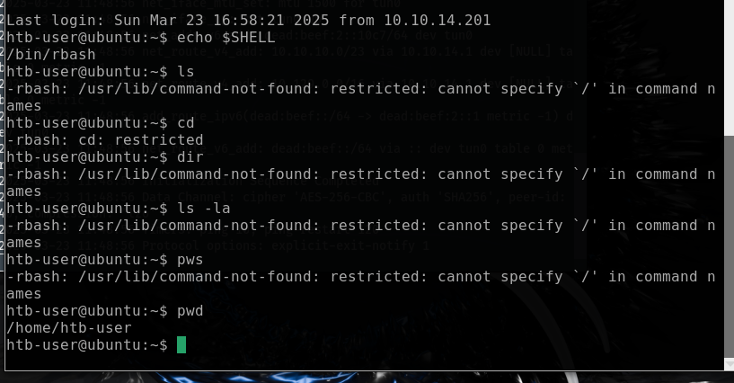 ESCAPE RESTRICTED RBASH SHELL IN LINUX SYSTEMS