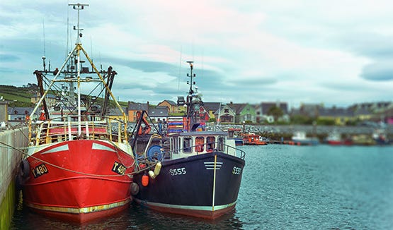 Dingle, Ireland  - Stephanie Arsenault - Global Dish