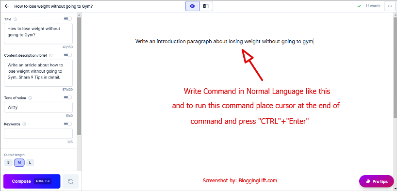 jarvis command to write introduction paragraph