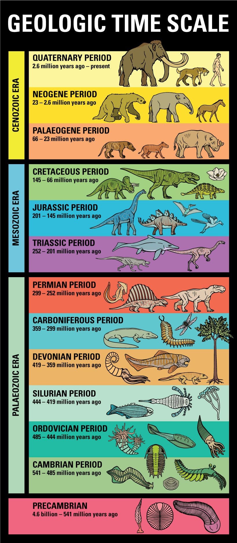 Geologic Time scale
