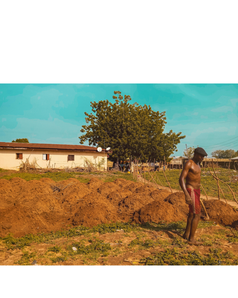 A subsistence farm and farmer in Nigeria