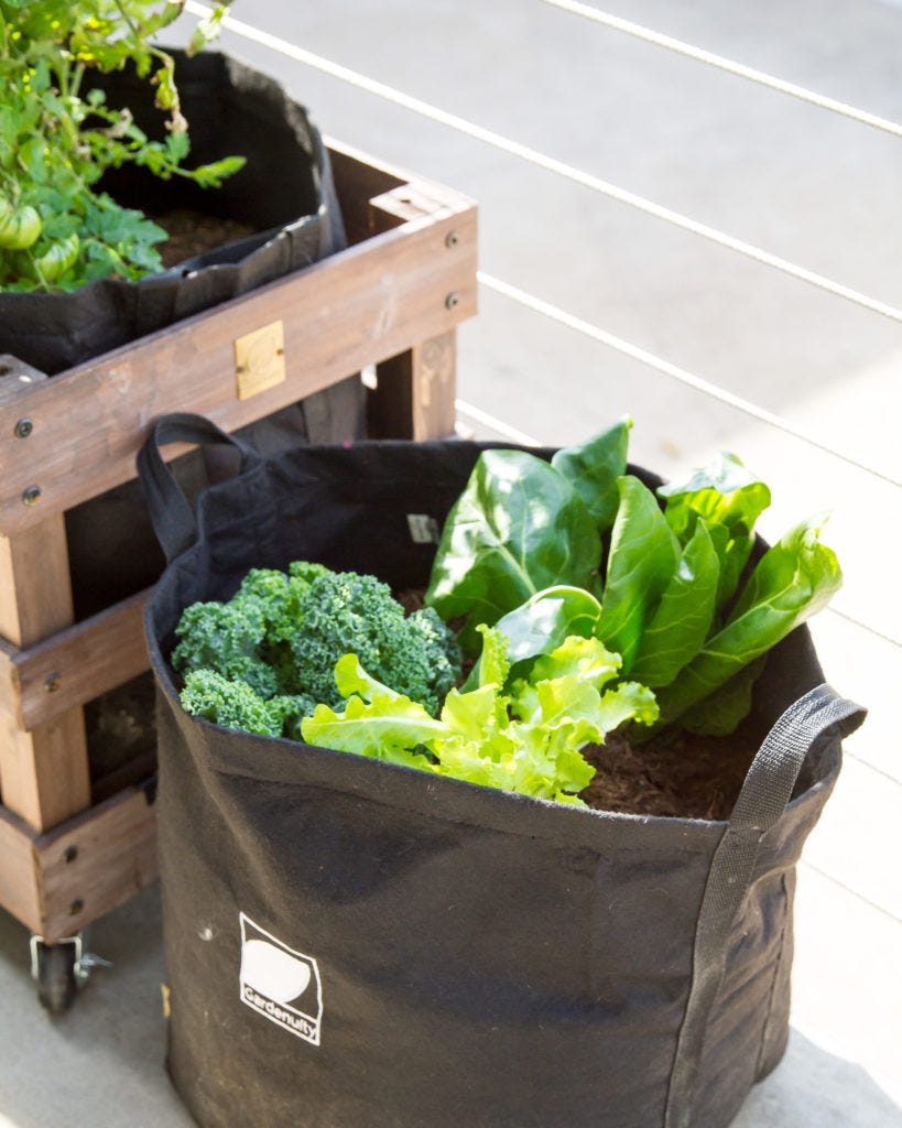 Gardenuity Lettuce Garden