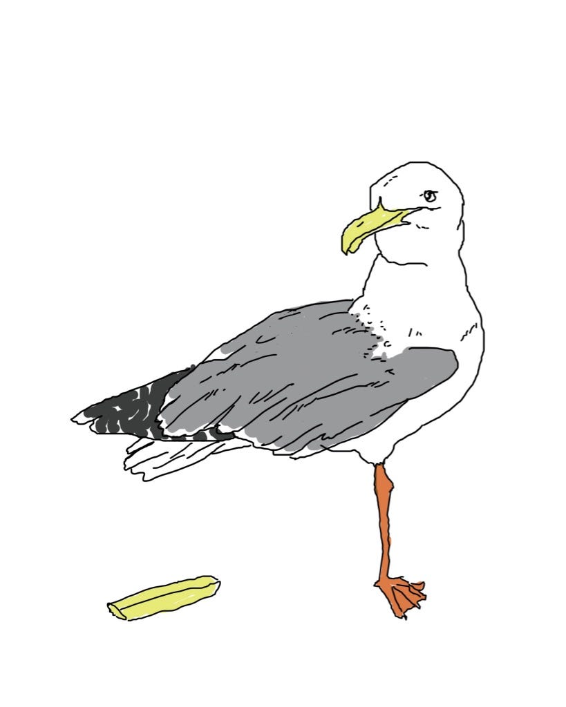 Drawing of a seagull with one leg.