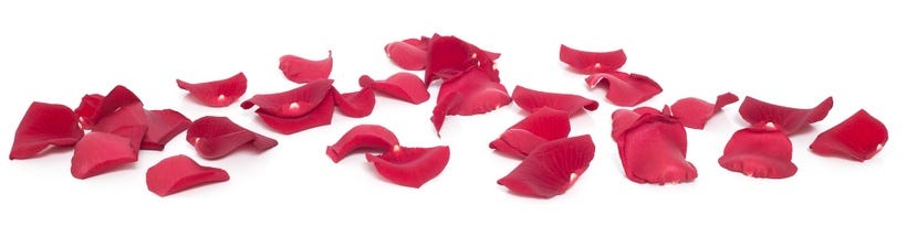 A small pile of rose petals.