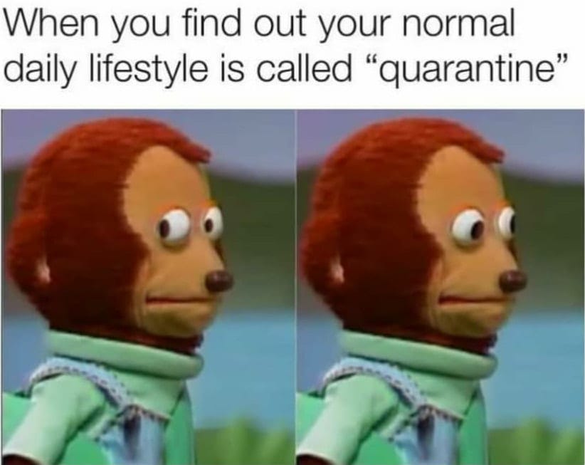 meme about the pandemic. title is: when you find out your normal daily lifestyle is called ‘quarantine’ — from an article on funny tips to survive the pandemic