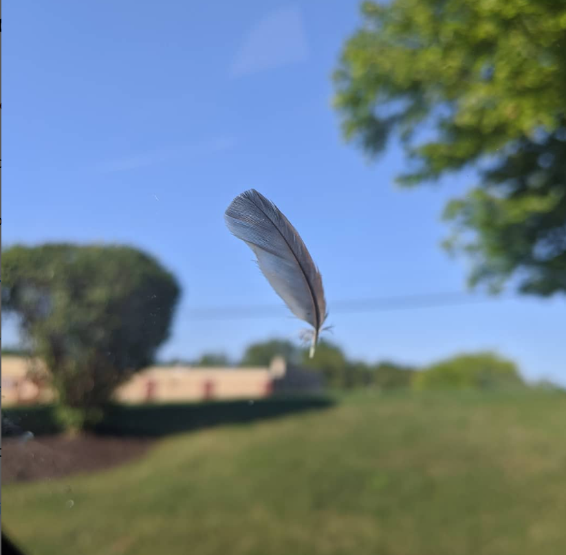 Feather on my car windshield after I was asking to verify if what I thought was a sign was indeed a sign.