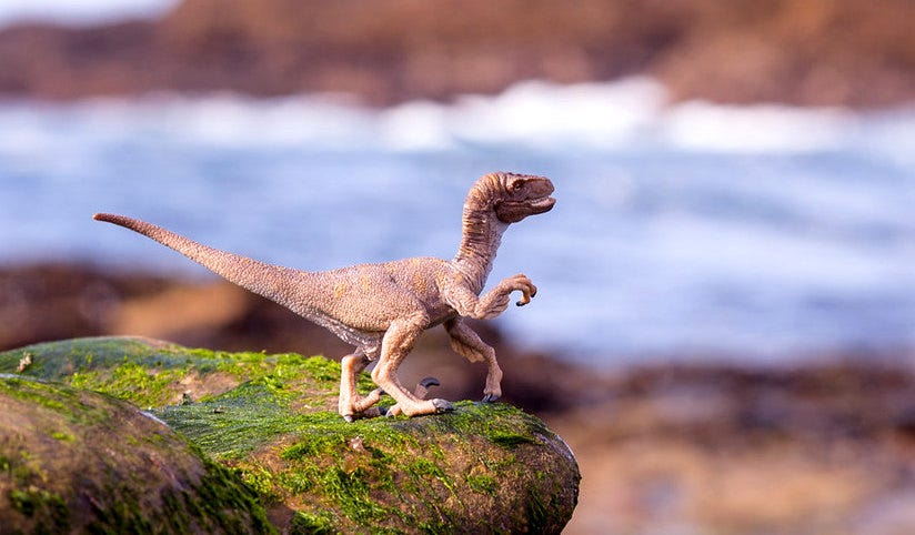 Velociraptor overseeing its domain