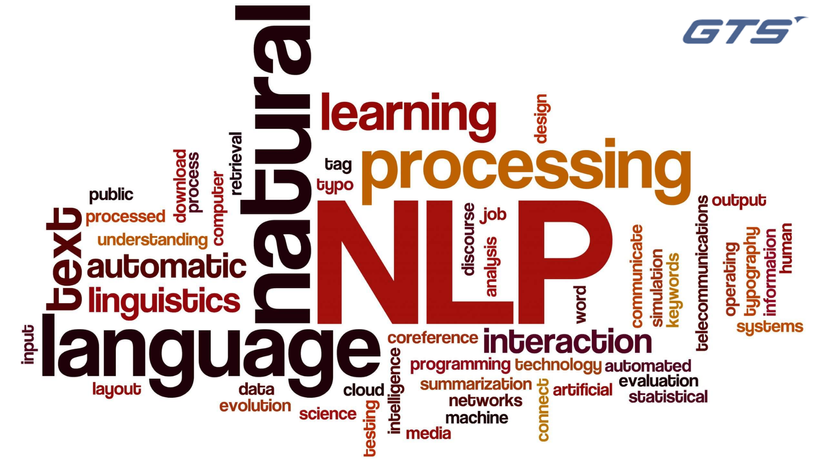 Natural Language Process (NLP)