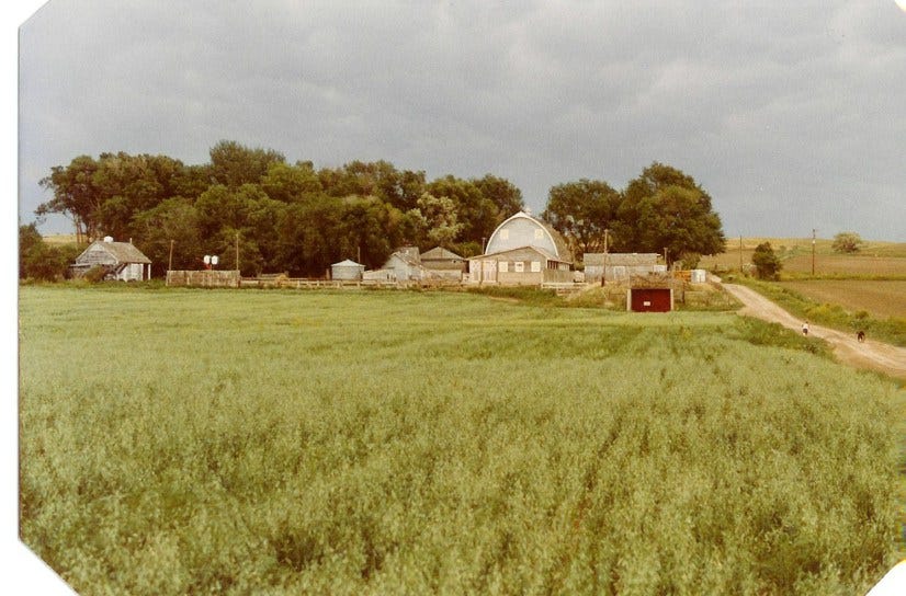 1980-thefarm
