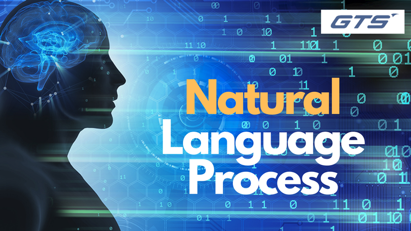 Natural Language Process