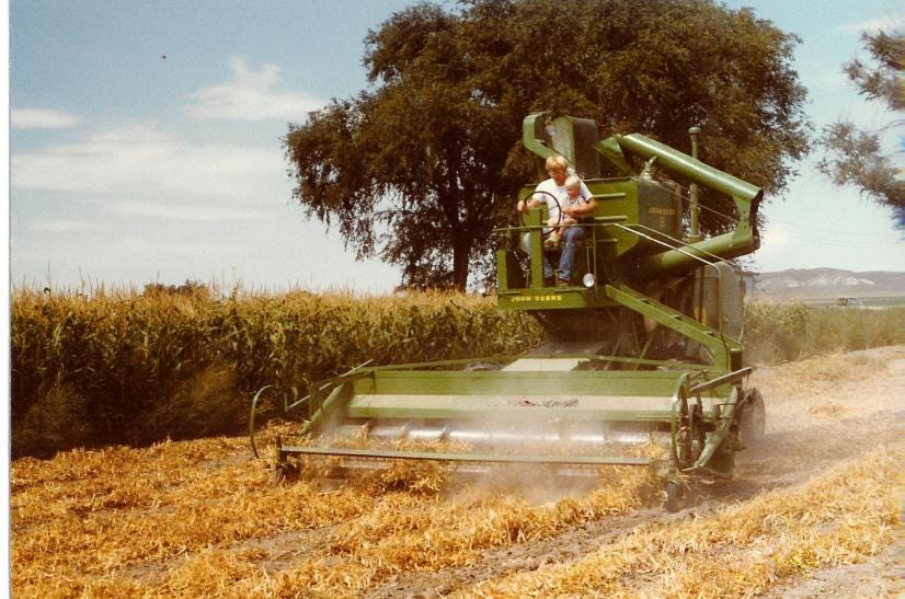 1979-harvesting