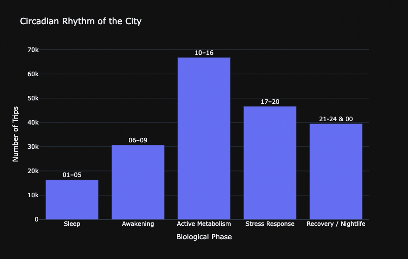 The Living City: Urban Pulse, Flow, and Breath