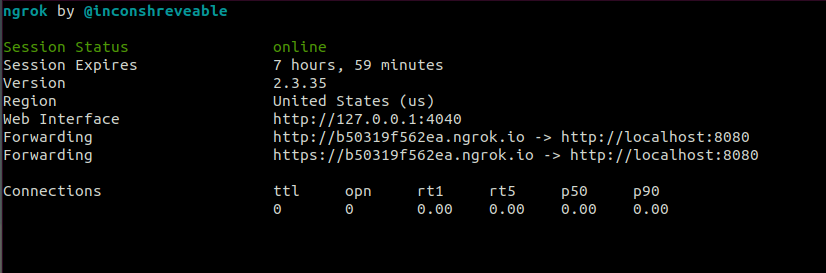 Screenshot of the ngrok console where we can find the random generated DNS for our webserver