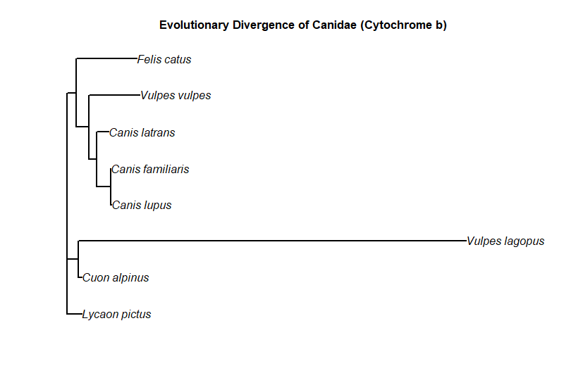 A Simple Guide to Building Phylogenetic Trees and Heatmaps in R