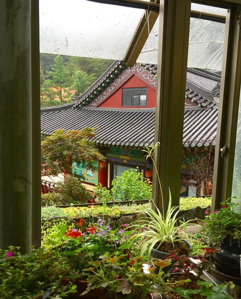 A view of the traditional Korean building, one of the main buildings for the temple, from the temple greenhouse. It has some flowers and plants.