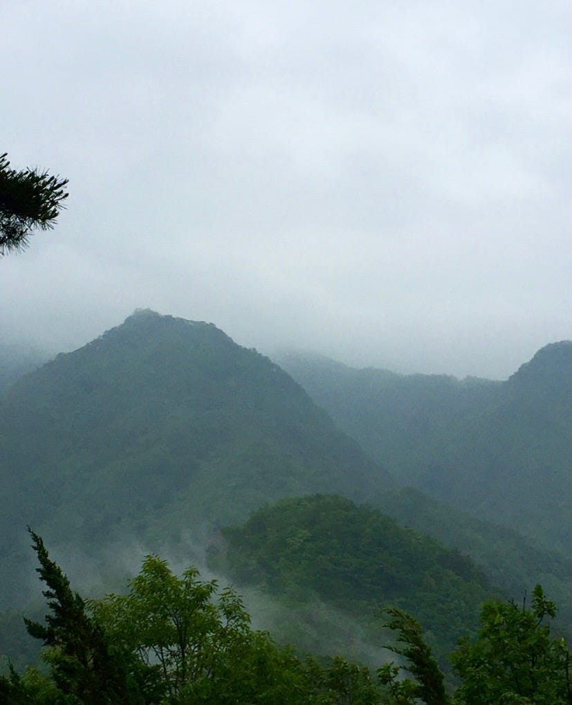 The view from the mountains at Guinsa Temple. You can see the morning mist above the mountains, causing a mysterious yet captivating scenery.