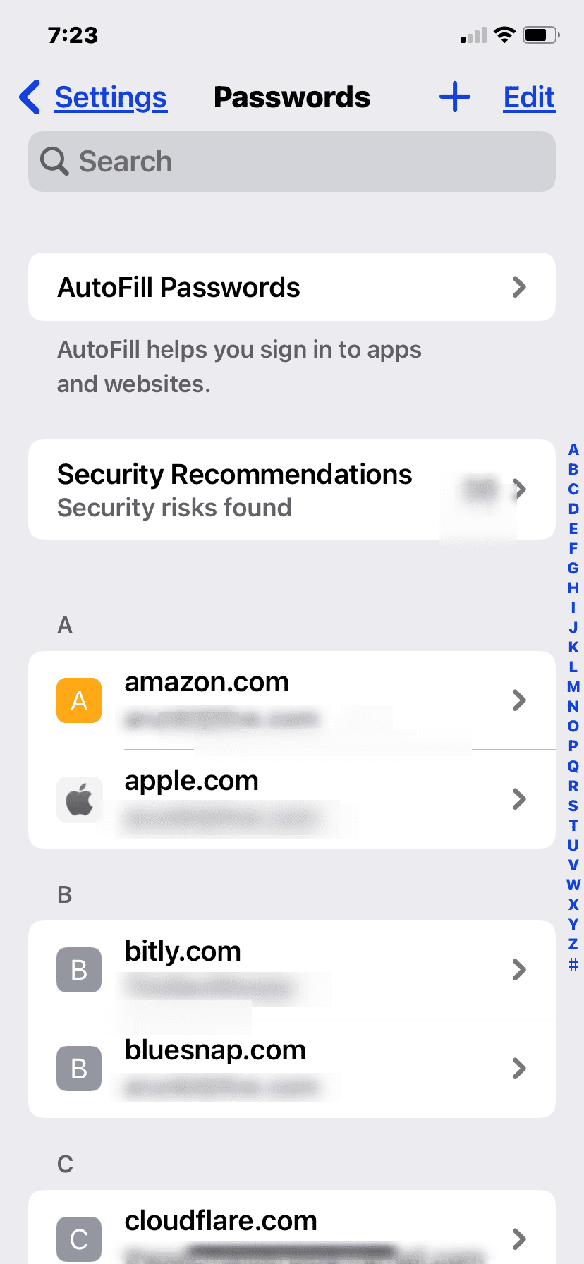 See the Saved Passwords on your iPhone