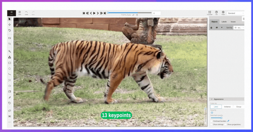 Data Annotation Process of Ultralytics Tiger-pose using CVAT