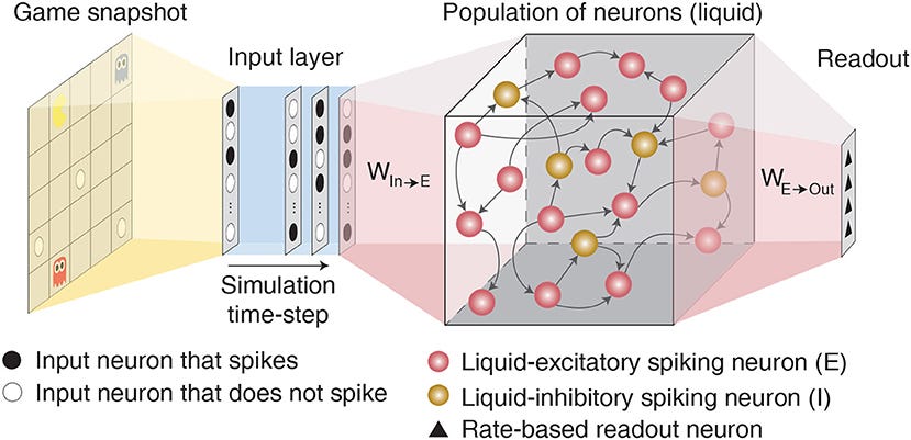 Temporal Dynamics Unleashed: Optimizing Liquid State Machines for Next-Generation Neural Computing