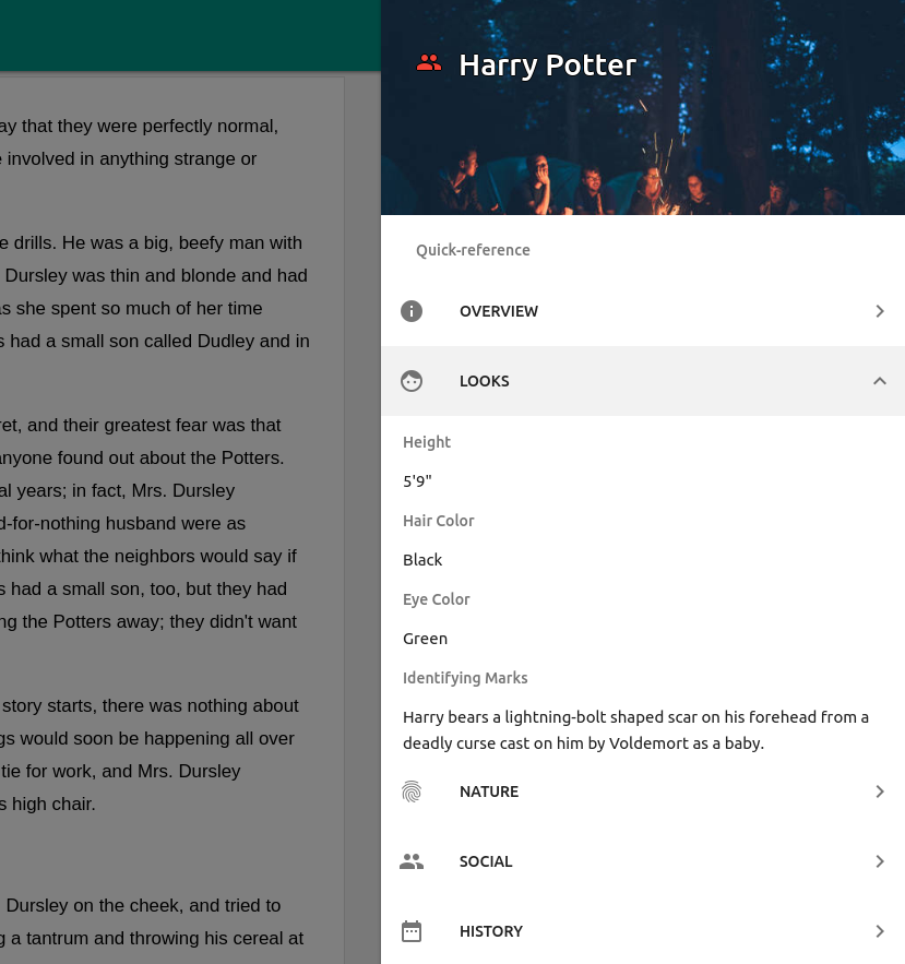 A sidebar shows quick reference details about Harry Potter next to the document editor