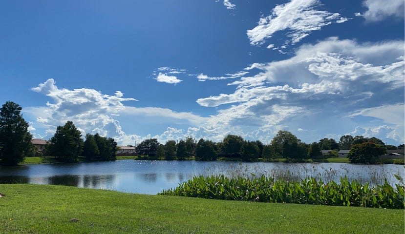 Photo taken by the author of a beautiful blue sky with white clouds, a large pond and green grass.