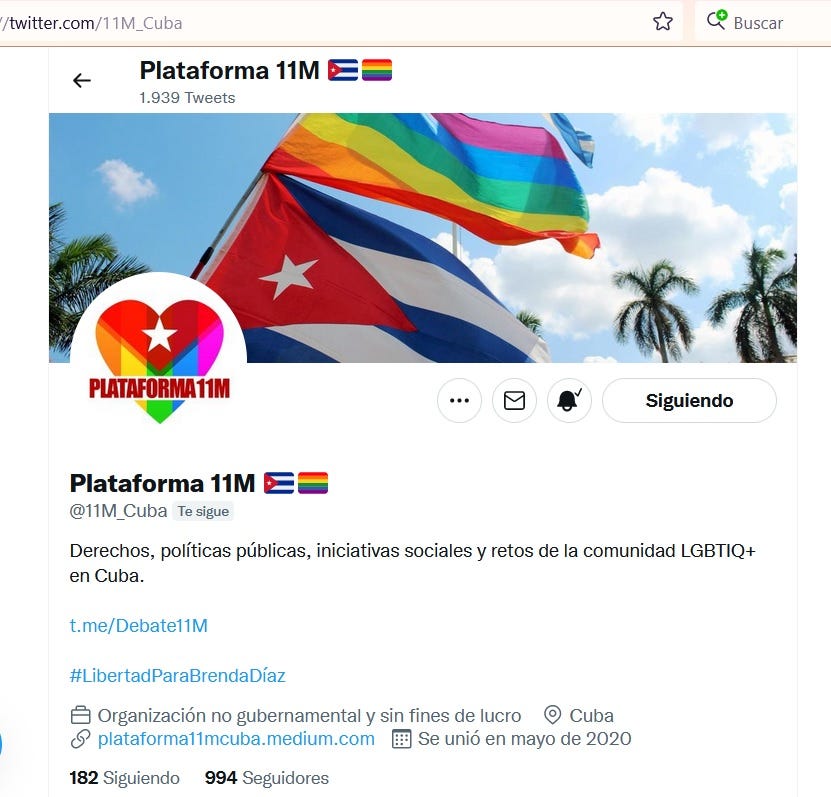 Perfil de Plataforma 11M en twitter con mensaje fijo #LibertadParaBrendaDíaz